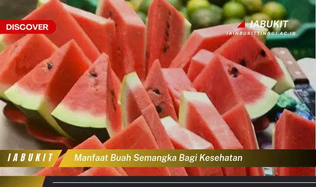 Kamu Wajib Tahu, Inilah 7 Manfaat Buah Semangka bagi Kesehatan yang Wajib Diintip