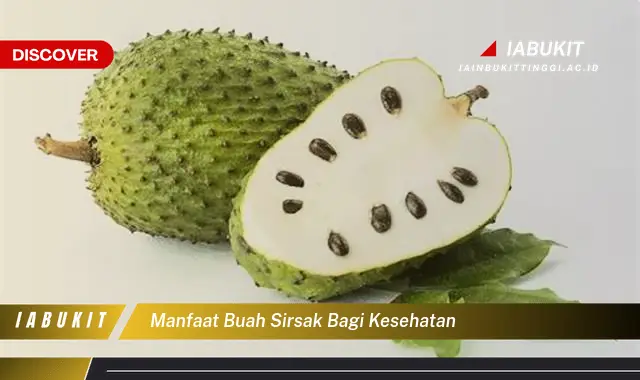 Ketahui 7 Manfaat Buah Sirsak yang Jarang Diketahui - Discover