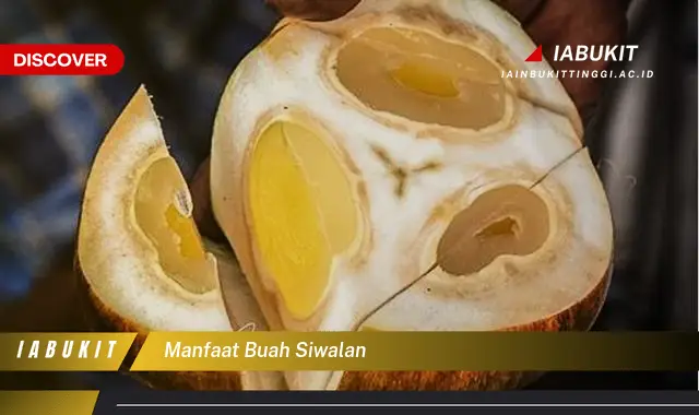 manfaat buah siwalan