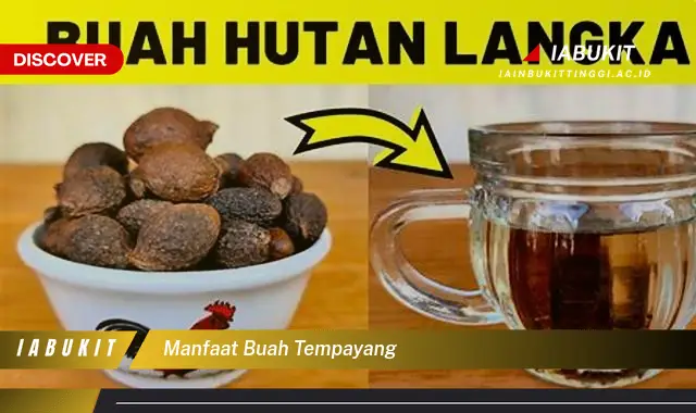 manfaat buah tempayang