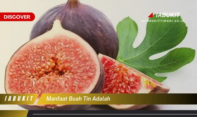 manfaat buah tin adalah