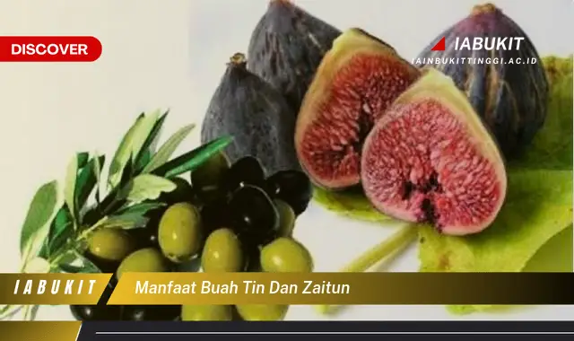 manfaat buah tin dan zaitun