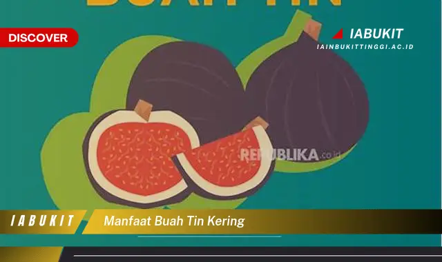 manfaat buah tin kering