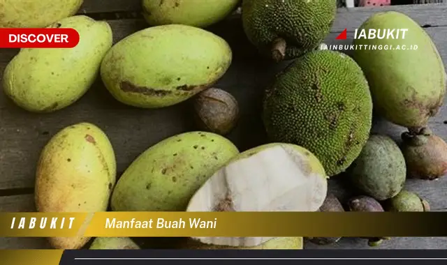 manfaat buah wani