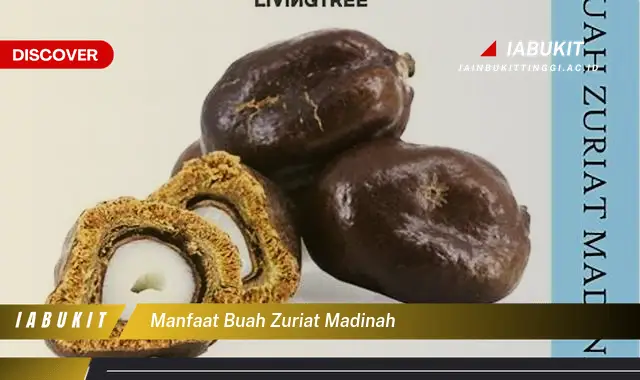 manfaat buah zuriat madinah