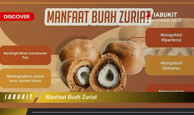 manfaat buah zuriat