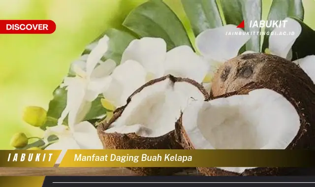 manfaat daging buah kelapa