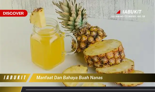 manfaat dan bahaya buah nanas