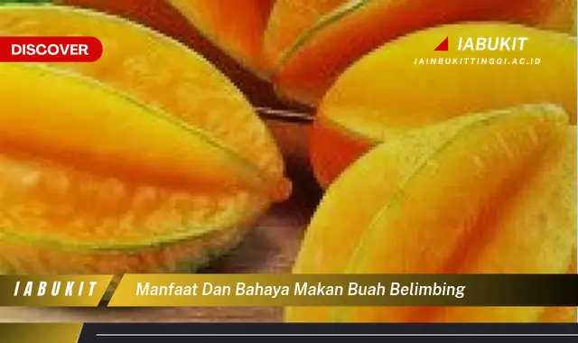 manfaat dan bahaya makan buah belimbing