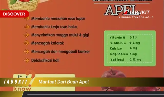 manfaat dari buah apel