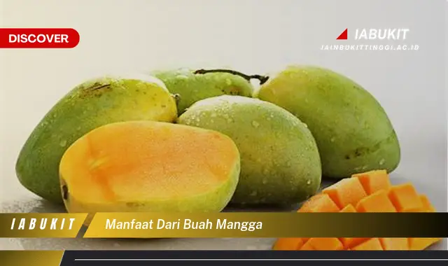 manfaat dari buah mangga