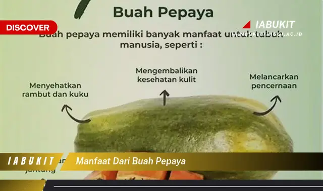 manfaat dari buah pepaya