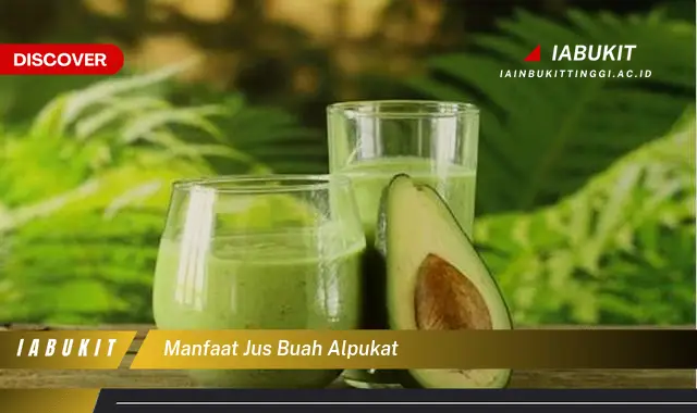 manfaat jus buah alpukat