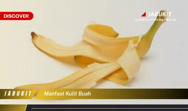 manfaat kulit buah