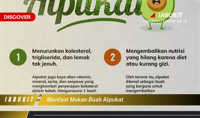 manfaat makan buah alpukat