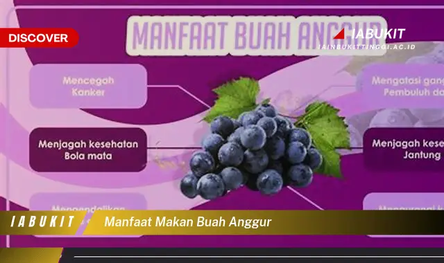 manfaat makan buah anggur