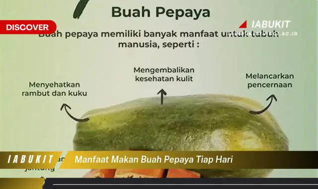 manfaat makan buah pepaya tiap hari