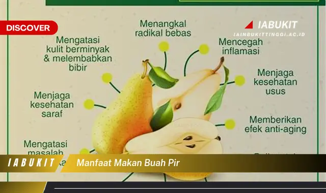 manfaat makan buah pir