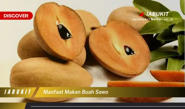 Bukan hanya apel, Ini 7 Manfaat Buah Sawo yang Wajib Diketahui