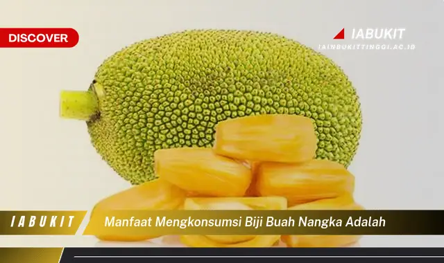 manfaat mengkonsumsi biji buah nangka adalah