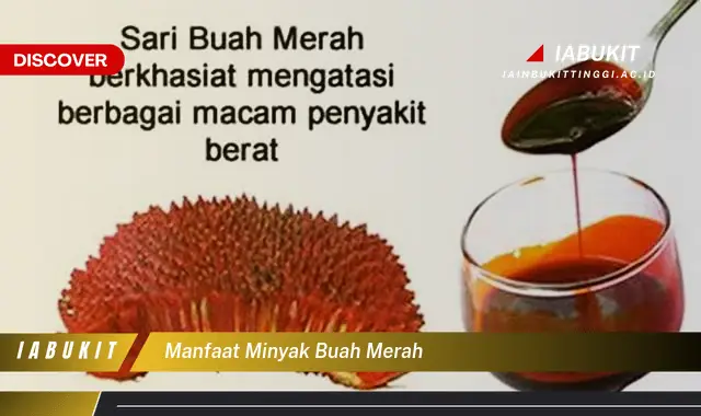 manfaat minyak buah merah