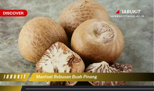 manfaat rebusan buah pinang