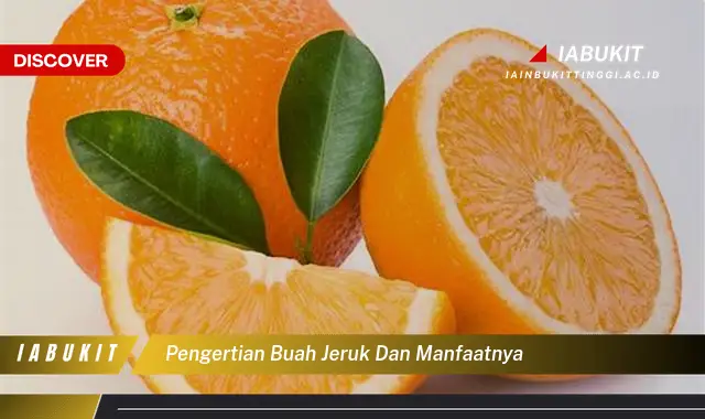 pengertian buah jeruk dan manfaatnya