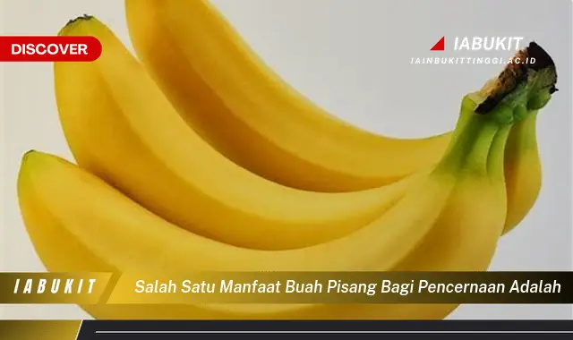 salah satu manfaat buah pisang bagi pencernaan adalah