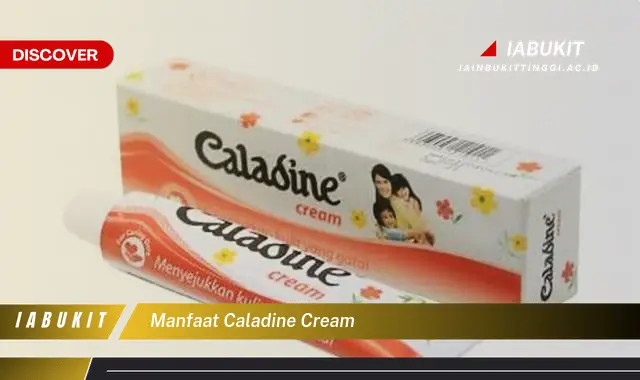 manfaat caladine cream