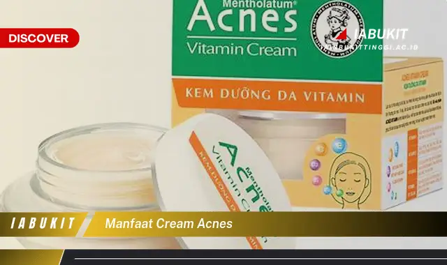 manfaat cream acnes