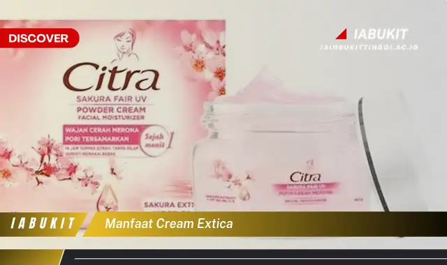 manfaat cream extica