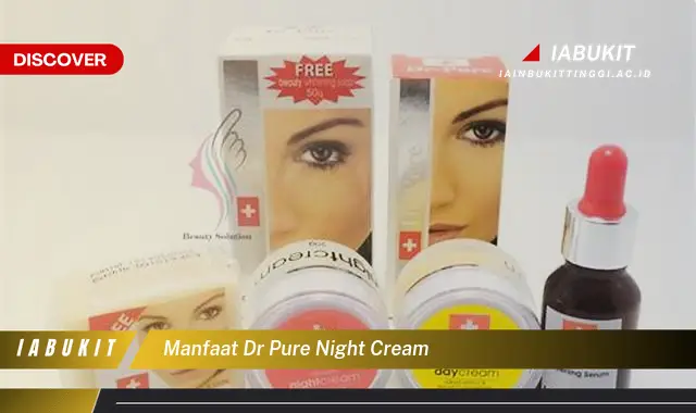 manfaat dr pure night cream