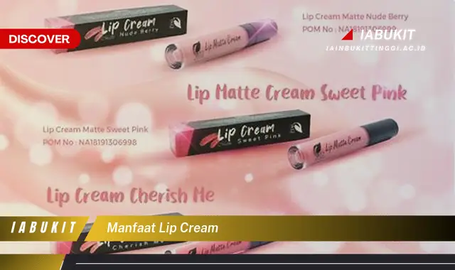 manfaat lip cream