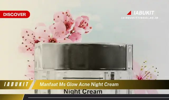 Ketahui 7 Manfaat Ms Glow Acne Night Cream yang Bikin Kamu Penasaran