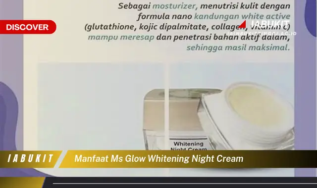 manfaat ms glow whitening night cream