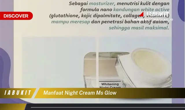 manfaat night cream ms glow