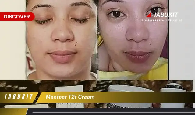 manfaat t2t cream