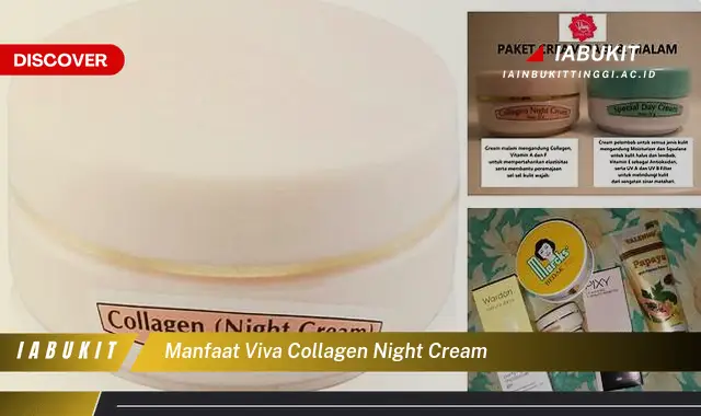 Temukan Manfaat Viva Collagen Night Cream Jarang Diketahui