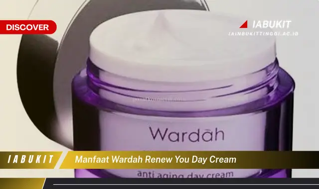 manfaat wardah renew you day cream