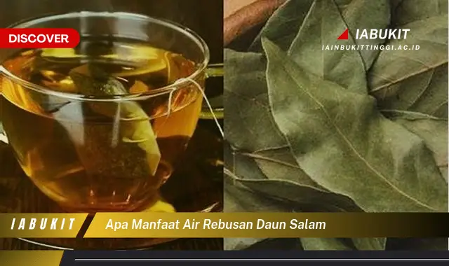 apa manfaat air rebusan daun salam