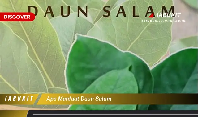 apa manfaat daun salam