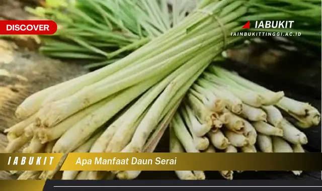 Bukan cuma daun bawang? Ternyata bukan daun bawang, Ini dia 7 Manfaat daun serai yang Wajib Diketahui