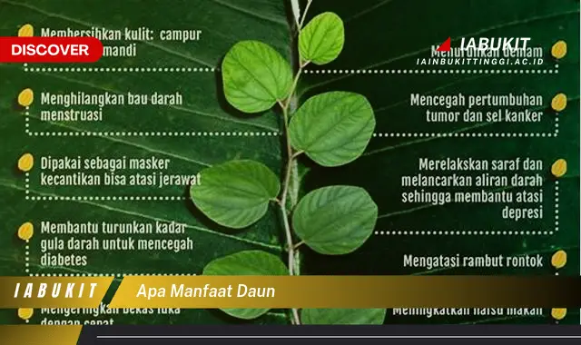 apa manfaat daun