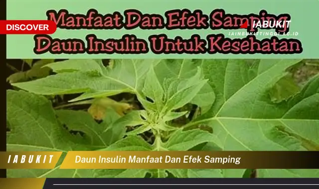 daun insulin manfaat dan efek samping