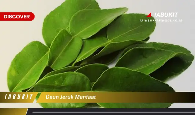 Intip 7 Manfaat Daun Jeruk yang Bikin Kamu Penasaran - Discover