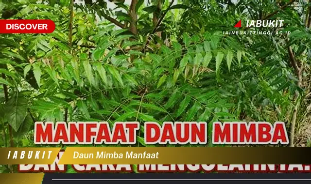 daun mimba manfaat