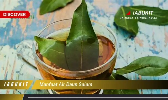 manfaat air daun salam