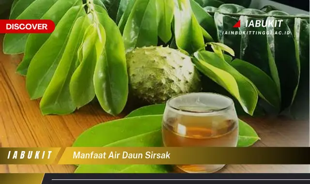 manfaat air daun sirsak