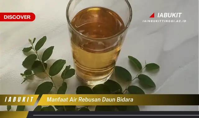 manfaat air rebusan daun bidara