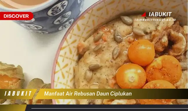 manfaat air rebusan daun ciplukan